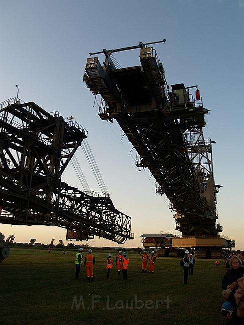 Bagger auf Reisen P237.JPG